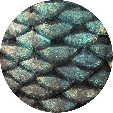 Age Print Panno Feltro Per Giradischi Skins Slipmat Age Print Panno Feltro Per Giradischi Skins Slipmat