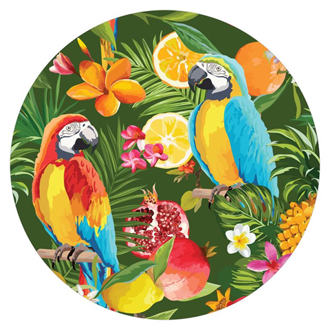 Age Print Panno Feltro Per Giradischi Tropical Parrots Slipmat
