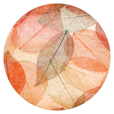 Age Print Panno Feltro Per Giradischi Texture Leaves Slipmat