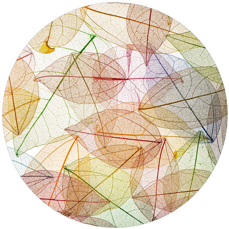 Age Print Panno Feltro Per Giradischi Texture Leaves Slipmat Age Print Panno Feltro Per Giradischi Texture Leaves Slipmat