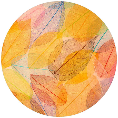 Age Print Panno Feltro Per Giradischi Texture Leaves Slipmat Age Print Panno Feltro Per Giradischi Texture Leaves Slipmat