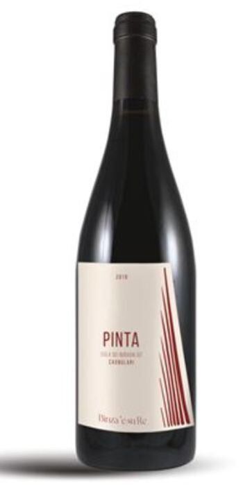 Binza ´e Su Re Pinta - Cagnulari Isola dei Nuraghi IGT 2022 (bottiglia 75 cl)