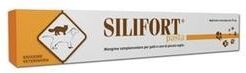 Silifort Pasta Os Siringa 15g