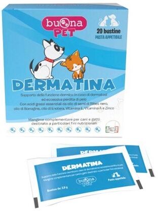 Steve Jones Dermatina 40g