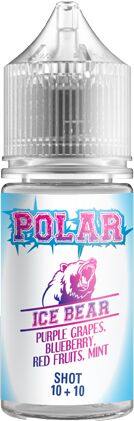 tnt vape ice bear polar aroma mini shot 10ml frutta menta ghiaccio