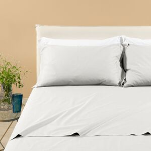 Completo Lenzuola in Percalle Percalle Matrimoniale Dreaming Tinta Unita Avorio Caleffi Completo Lenzuola in Percalle Percalle Matrimoniale Dreaming Tinta Unita Avorio Caleffi