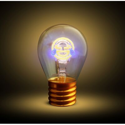 altri brand Lampadina risata LED decorativa e ricaricabile altri brand Lampadina risata LED decorativa e ricaricabile