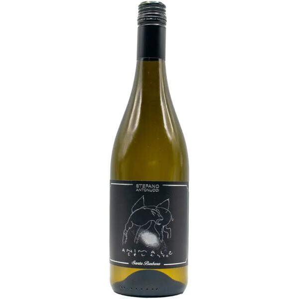 sauvignon santa barbara 'animale celeste' 2022