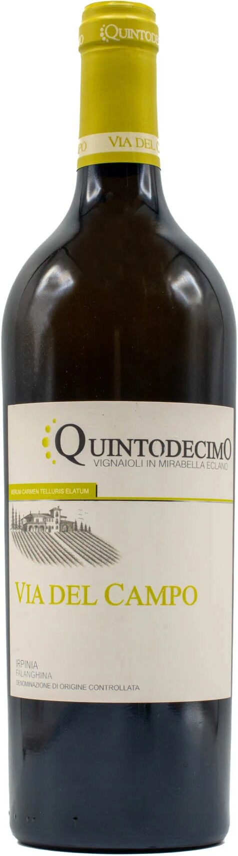 Falanghina Quintodecimo 'Via Del Campo' 2023