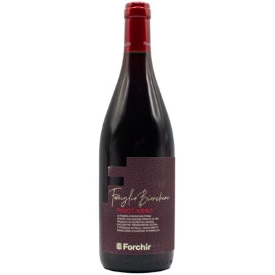 Forchir Di Bianchini E Deana Pinot Nero Forchir 'Noir' 2024 Forchir Di Bianchini E Deana Pinot Nero Forchir 'Noir' 2024