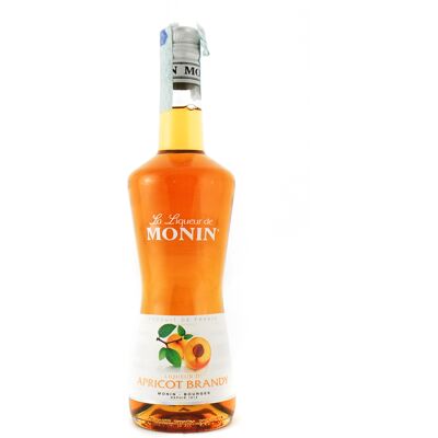 Monin Liquore di Albicocca - Qualità Francese Monin Liquore di Albicocca - Qualità Francese