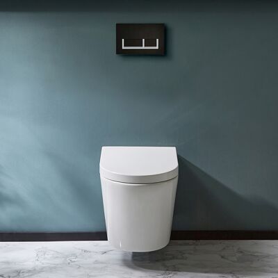 Hudson Reed Sanitario WC Sospeso Senza Brida con Telaio Alto - Placca di Comando Rettangolare Bianca/Cromata - Covelly Hudson Reed Sanitario WC Sospeso Senza Brida con Telaio Alto - Placca di Comando Rettangolare Bianca/Cromata - Covelly