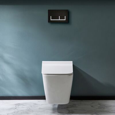 Hudson Reed Sanitario WC Sospeso con Telaio Alto - Placca di Comando Rettangolare Bianca/Cromata - Sandford Hudson Reed Sanitario WC Sospeso con Telaio Alto - Placca di Comando Rettangolare Bianca/Cromata - Sandford
