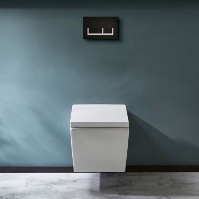 Hudson Reed Sanitario WC Sospeso con Telaio Alto - Placca di Comando Rettangolare Bianca/Cromata - Halwell Hudson Reed Sanitario WC Sospeso con Telaio Alto - Placca di Comando Rettangolare Bianca/Cromata - Halwell