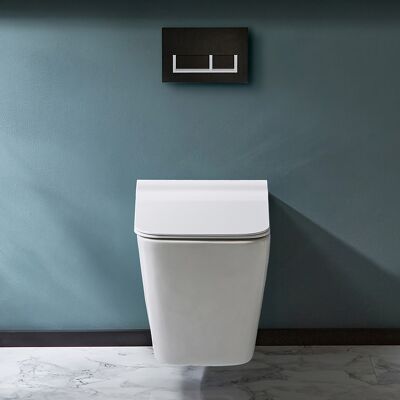 Hudson Reed Sanitario WC Sospeso con Telaio Corto - Placca di Comando Rettangolare Bianca/Cromata - Sandford Hudson Reed Sanitario WC Sospeso con Telaio Corto - Placca di Comando Rettangolare Bianca/Cromata - Sandford