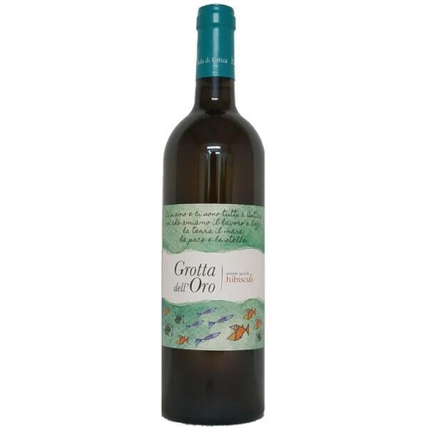 hibiscus zibibbo terre siciliane igt grotta dell'oro 2022 -