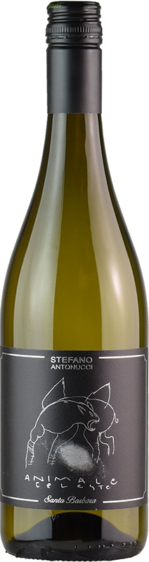 Santa Barbara Sauvignon Marche IGT 2019 Animale Celeste - Santa Barbara Sauvignon Marche IGT 2019 Animale Celeste -