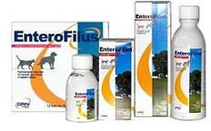 Drn Srl Enterofilus 12x10ml Drn Srl Enterofilus 12x10ml