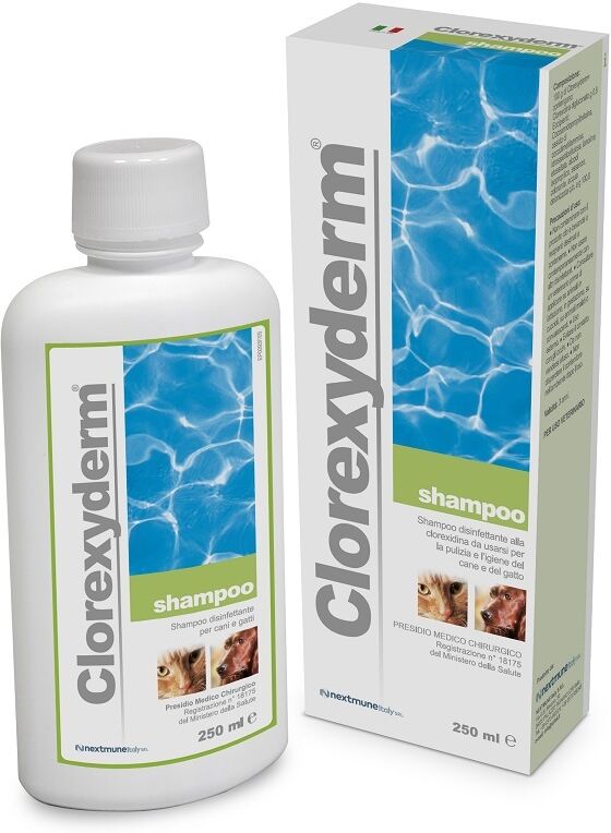 I.C.F. Ind.Chimica Fine Srl Clorexyderm Shampoo 250 Ml I.C.F. Ind.Chimica Fine Srl Clorexyderm Shampoo 250 Ml