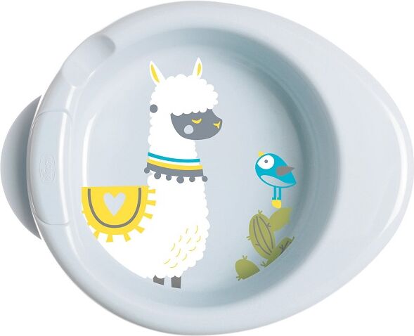 Chicco Piatto Pappacalda 6 Mesi+ Verde Chicco Piatto Pappacalda 6 Mesi+ Verde