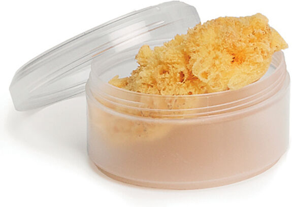 Exclusivas Rimar S.L. Suavinex Spugna Nat Picc+box Exclusivas Rimar S.L. Suavinex Spugna Nat Picc+box