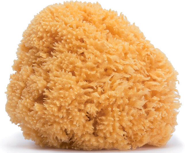 Exclusivas Rimar S.L. Suavinex Spugna Naturale Grande Exclusivas Rimar S.L. Suavinex Spugna Naturale Grande