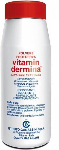 Ist.Ganassini Spa Vitamindermina Polvere Prot 100g Ist.Ganassini Spa Vitamindermina Polvere Prot 100g