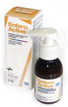 Slais Srl Entero Active Mangime Complementare Flacone 100 Ml Slais Srl Entero Active Mangime Complementare Flacone 100 Ml