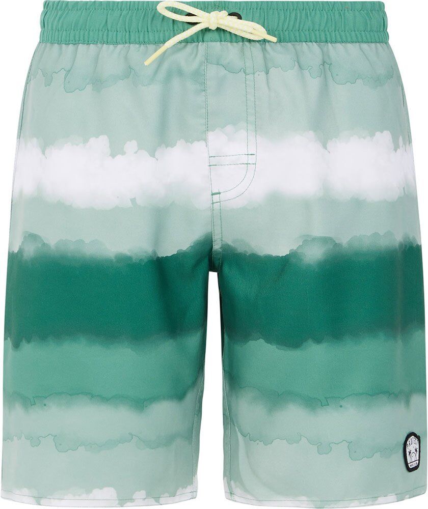 Protest Abel Swimming Shorts Verde 10 cm