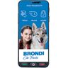 Brondi AMICO SMARTPHONE S+, 16 GB, BLACK