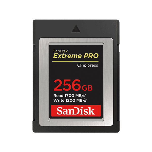 sandisk scheda di memoria  cfexpr extreme pro 256gb
