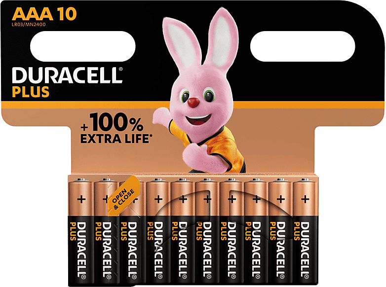 Duracell BATTERIE  PLUS 100 AAA B10