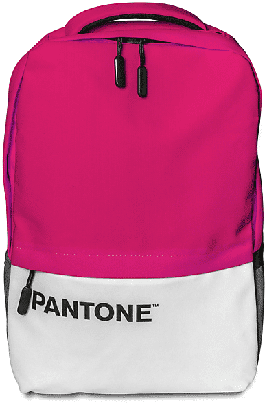 pantone zaino  backpack 15.6