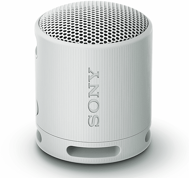 sony cassa bluetooth  srsxb100h