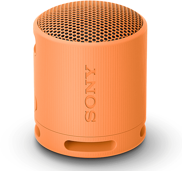 sony cassa bluetooth  srsxb100d