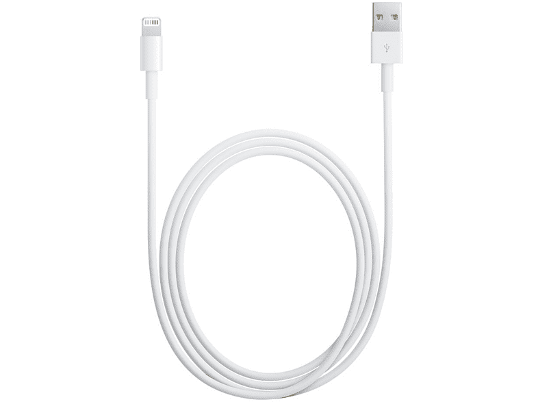 Apple Cavo da Lightning a USB (0,5 m)