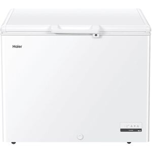 HAIER Congelatore pozzo HCE301, classe E