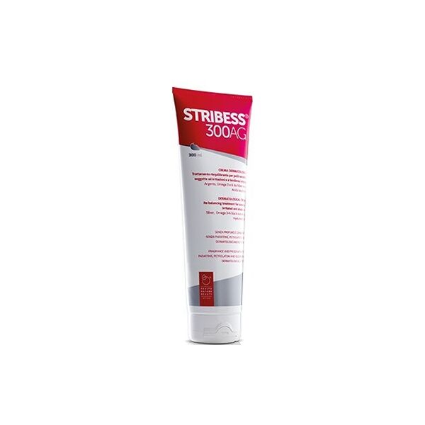 derma-team srl stribess*300 ag crema 300ml