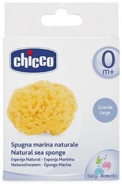 chicco spugna marina grande