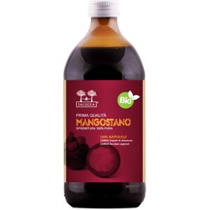 salugea succo mangostano bio 500 ml