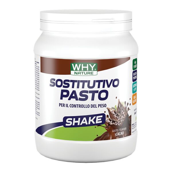 biovita whynature sostitutivo pasto cacao 480 g