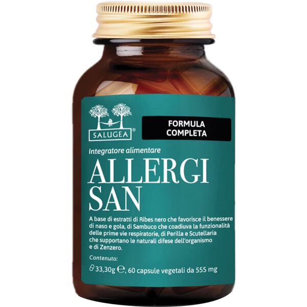 salugea allergisan 60 capsule