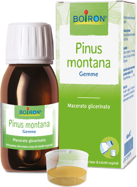 BOIRON Bo.pinus mont.mg 60ml