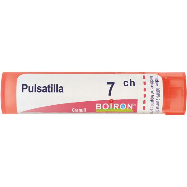 boiron pulsatilla*7ch 80gr 4g