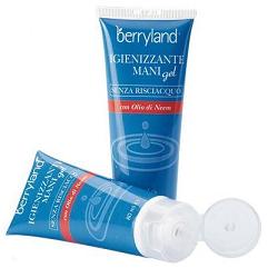 blueberry srl Berryland igienizzante mani 80 ml