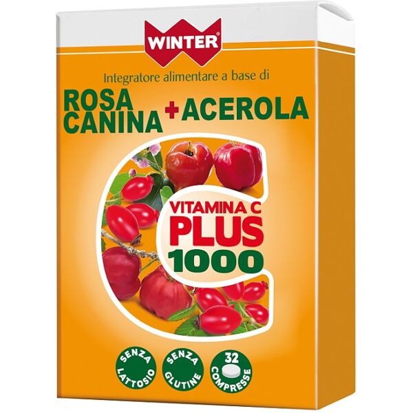 gdp srl winter vit c plus 1000 32cpr