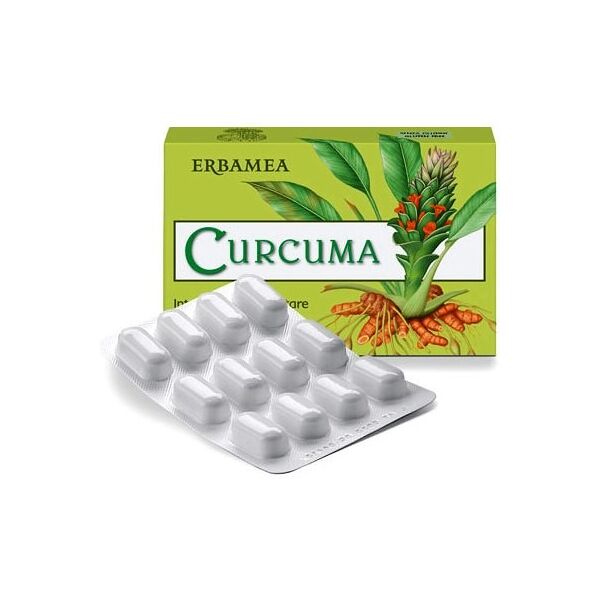 erbamea curcuma 24 cps veg.ebm