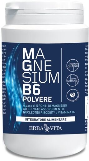 erba vita magnesium b6 polvere 200g