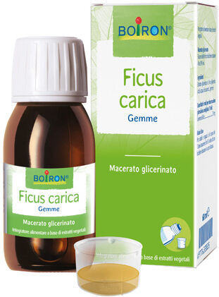 BOIRON Bo.ficus carica mg 60ml