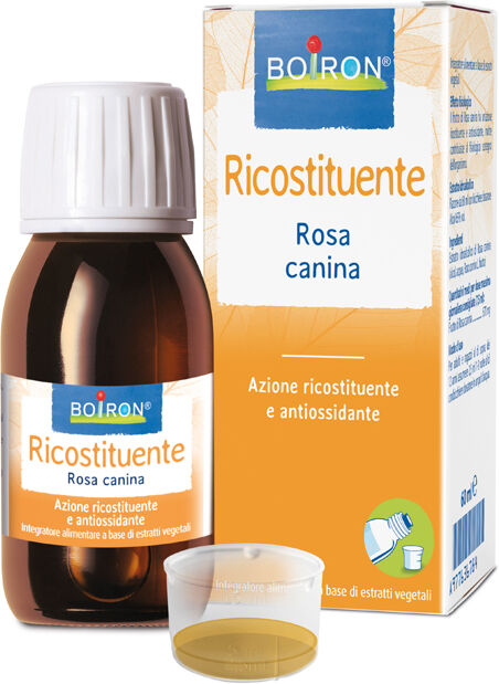 BOIRON Bo.rosa canina es i 60ml